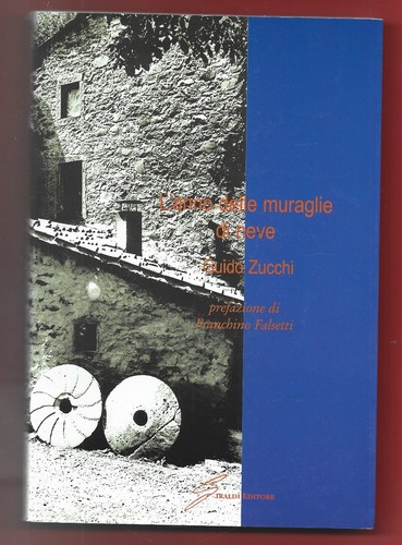 Guido zucchi anno - guido,